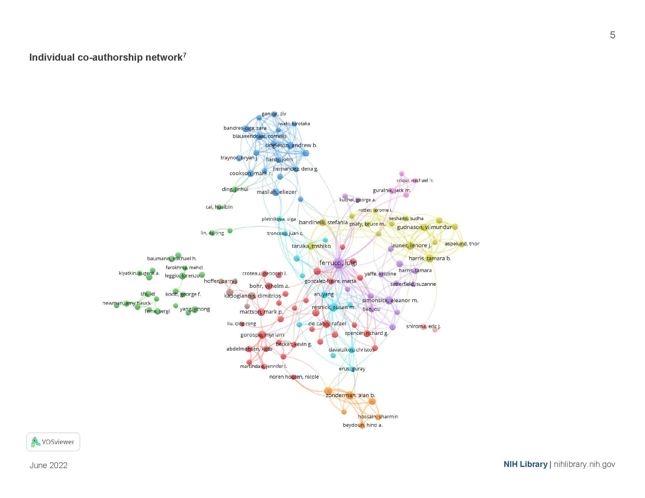 Individual co-authorship network